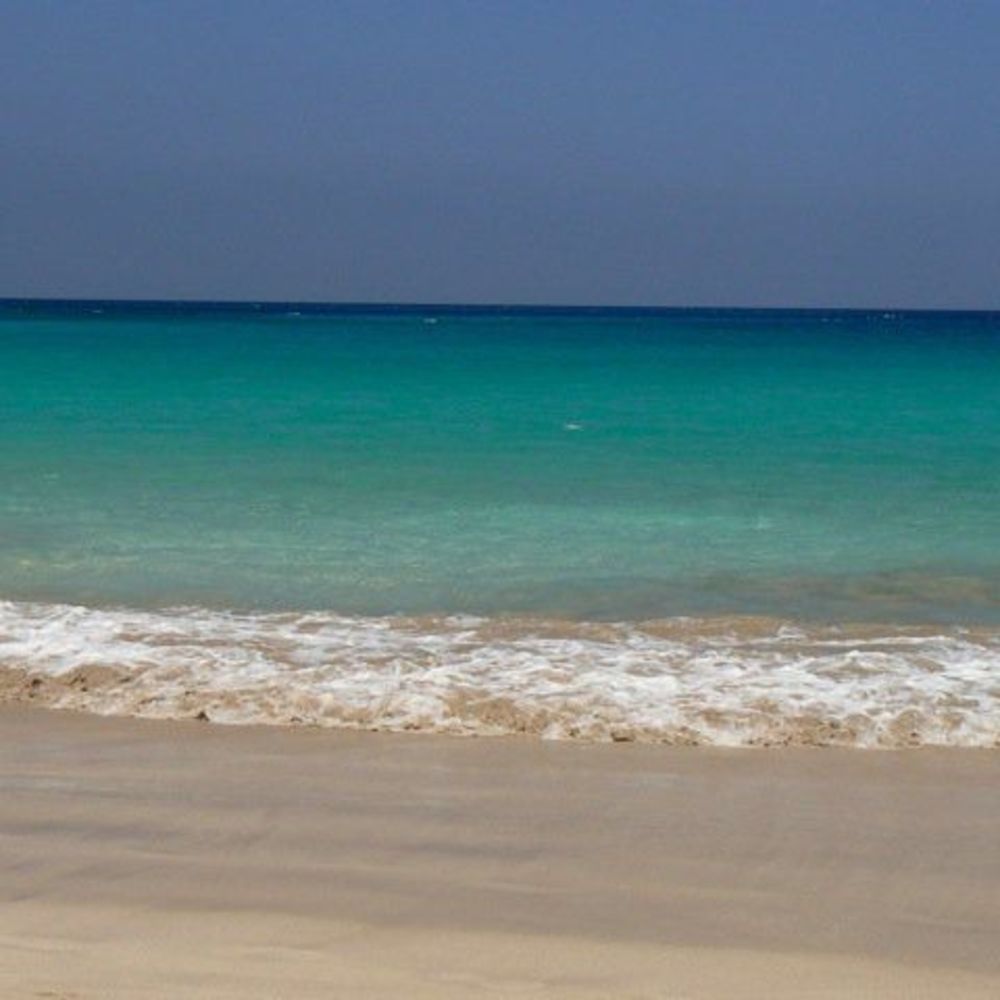 Meet your Posher, Ingrid